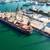Corn, Wheat Reach Multi-Year Highs Amidst US Crop, Black Sea Export Worries