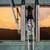 EU Wheat Prices Drop As Ample Supply Offsets War Upheaval
