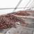 Cocoa Falls to Two-Week Low Alongside Sugar