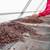Ivory Coast Reports Strong Cocoa Exports Ahead of El Niño Impacts