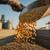 US Grain, Soy Futures Drop After US-China Talks