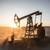 Citi: Oil Prices Remain Unstable Despite Recovering Gulf Exports