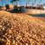 Chicago Wheat Hits Three-Year High Amidst Black Sea Conflict