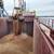 European Wheat Prices Fall on Hopes of Black Sea Peace