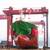Fratelli Cosulich in Focus: Building the Fleet for a Multi-Fuel Future