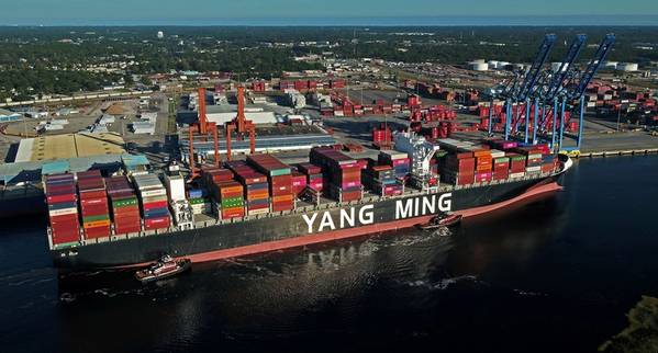 The 14,220-TEU Yang Ming Warranty Docks at the Port of Wilmington (Photo: North Carolina State Ports Authority)