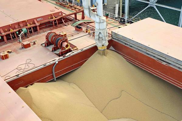 © Adobe Stock/masterskuz55