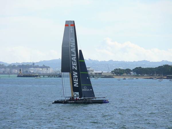 America's Cup World Series Contestant: Photo credit CCL Team NZ