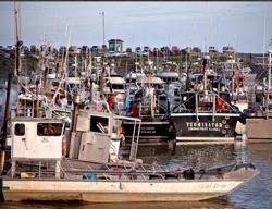 Fishing Boats, Bristol Bay: Photo courtesy of 'Fishermen for Bristol Bay'