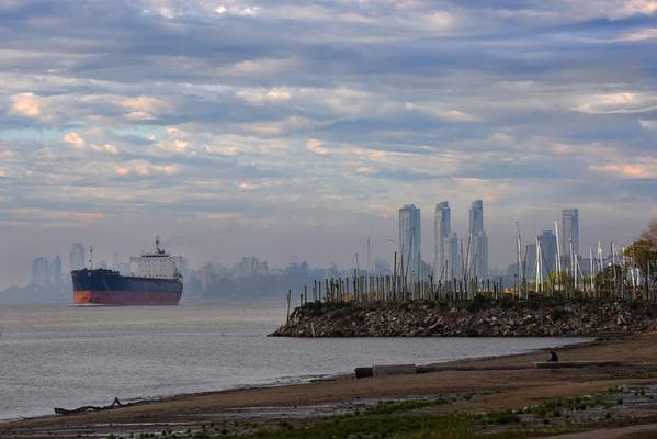 Grain and agro-industrial products ships will be unable to dock or leave Argentina's Rosario agro-port hub on Thursday because of a CGT union strike against government policies. Credit: Adobe Stock/L Si Saber