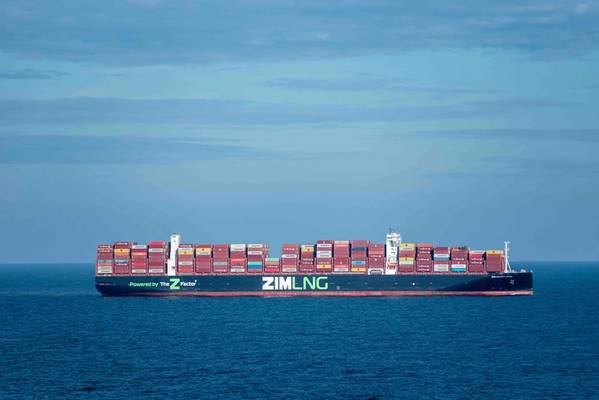 © Mariusz - stock.adobe.com