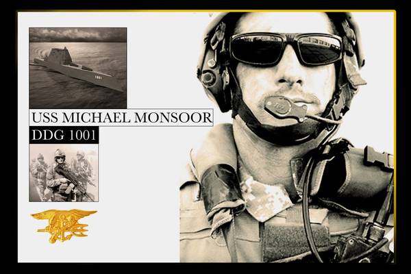 USS Michael Monsoor illustration: courtesy of USN