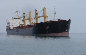Photo courtesy T&T Bisso