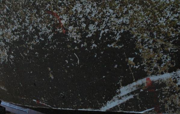 Foul Hull: Photo in public domain