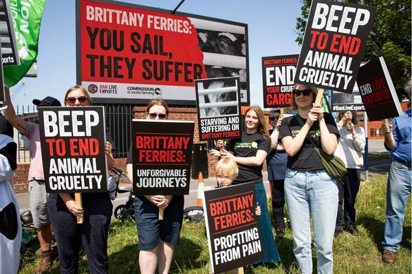 Source: Compassion in World Farming