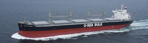 Ultrabulk Panamax Bulk Ship