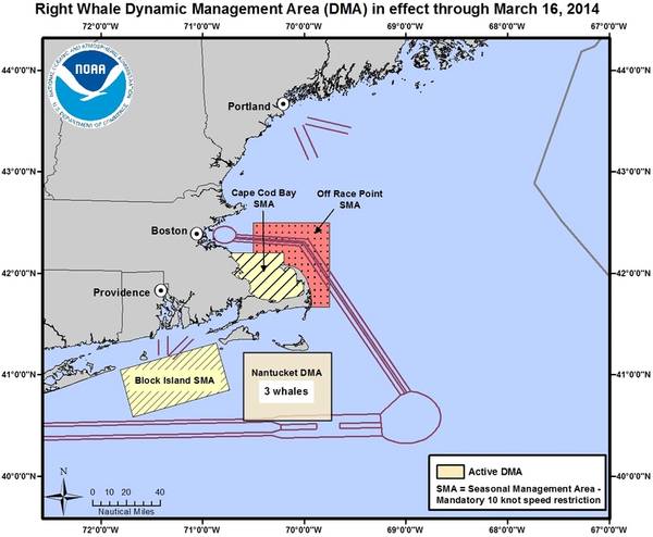 Voluntary DMA off Nantucket