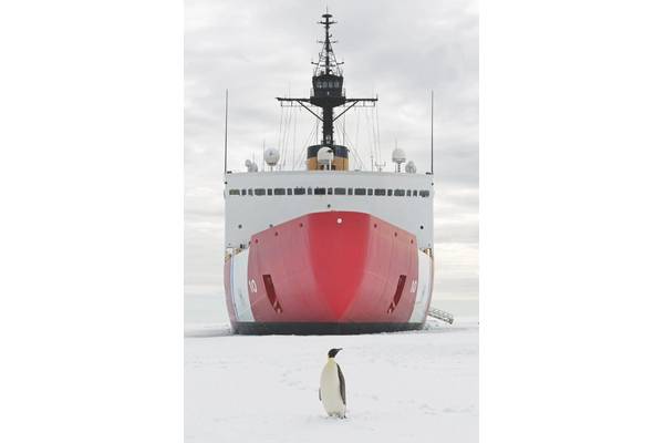 An emperor penguin poses for a photo in front of the Coast Guard Cutter Polar Star in McMurdo Sound near Antarctica on Wednesday, Jan. 10, 2018. The crew of the Seattle-based Polar Star is on its way to Antarctica in support of Operation Deep Freeze 2018, the U.S. military’s contribution to the National Science Foundation-managed U.S. Antarctic Program. U.S. Coast Guard photo by Chief Petty Officer Nick Ameen.