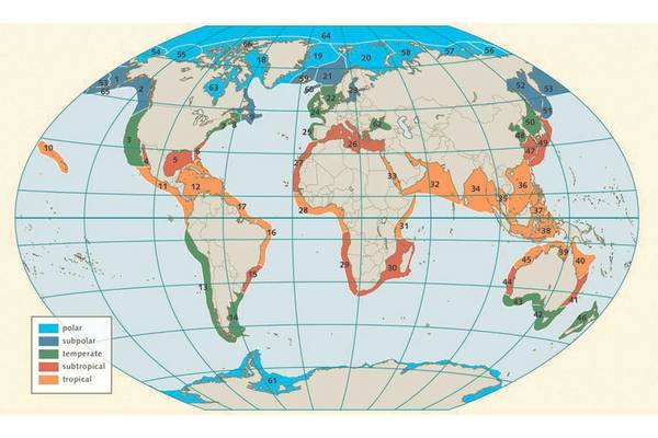 Figure 1. The near­coastal areas of the world’s oceans have been classed into 66 large, transnational marine ecosystems, known as the large marine ecosystems (LMEs). Taken from World Ocean Review Living with the Oceans. 5 Coasts – 2017. Image: The Author