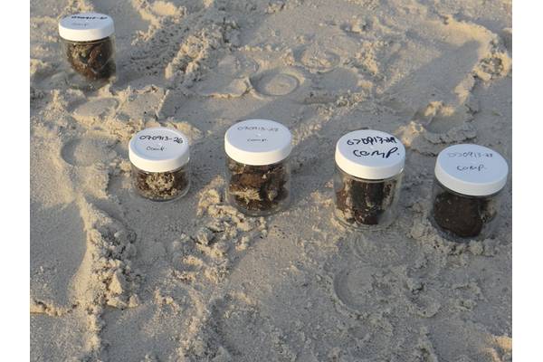 Samples will be analyzed in Woods Hole, Mass. and be added to the oil sample library and an on-line database. (Photo by Bryan James, Woods Hole Oceanographic Institution)
