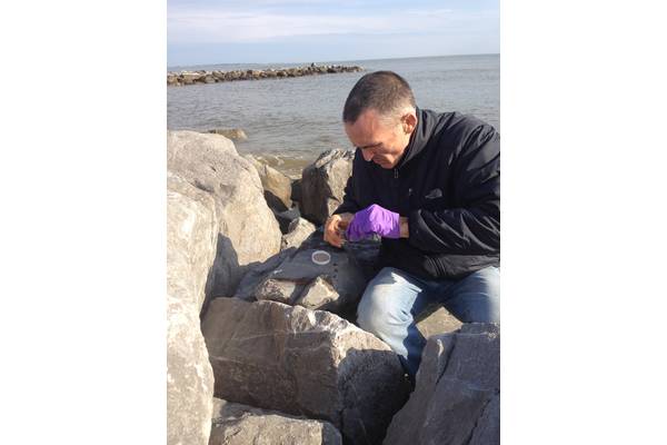 WHOI senior scientist Chris Reddy and his researchers have collected more than 1,000 oil samples along the Gulf of Mexico coastline. (Photo by Catherine Carmichael, Woods Hole Oceanographic Institution)