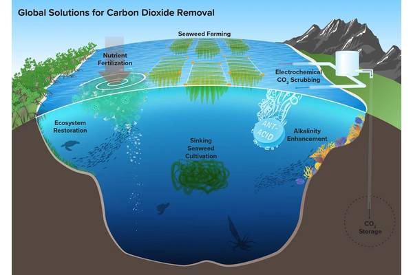 While ocean-based carbon dioxide removal can take a multitude of forms, there are at least six prominent methods (represented here) considered in the recently released NASEM report. © Woods Hole Oceanographic Institution, illustration by Natalie Renier
