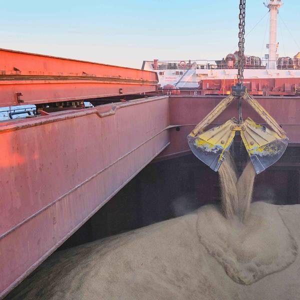 Turkey Tenders to Import 255,000 Metric Tons of Feed Barley