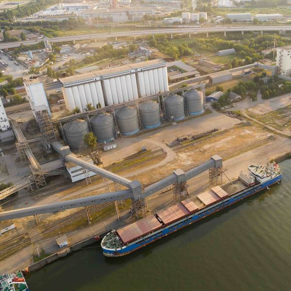 EU Soft Wheat Exports for 2025/26 Down 5%