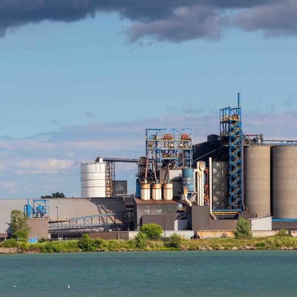 Chicago Soybeans Futures Fall During Competition with Brazilian Exports