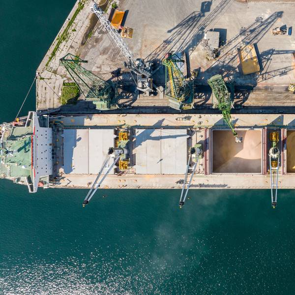 India OKs Ag Exports to Placate Farmers