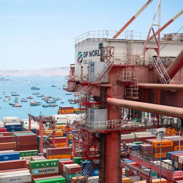 Epstein Files Brings Down DP World Boss