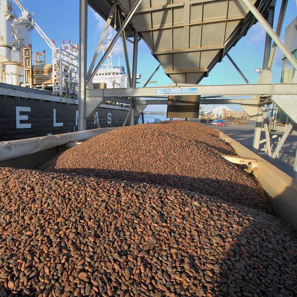 Cocoa Prices Jump as Ivorian Port Arrivals Crawl