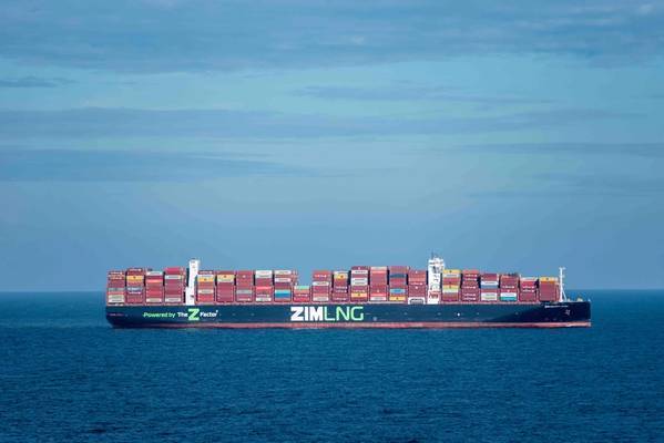 ZIM Workers Strike Over Hapag-Lloyd Takeover