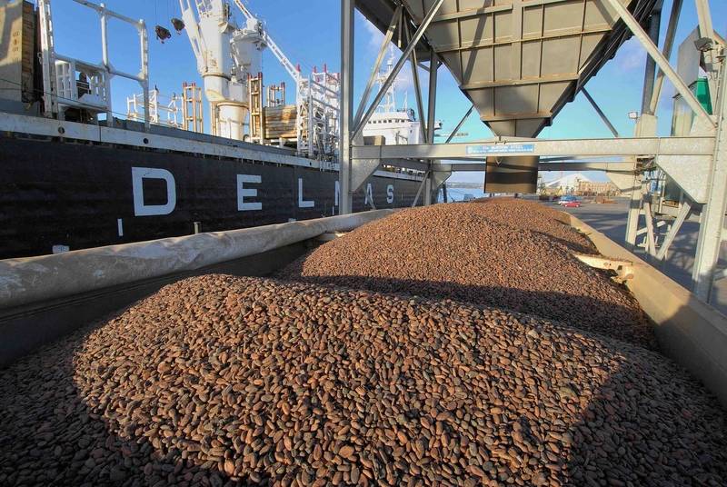 Delayed Start to Ivory Coast Cocoa Crop Could Congest Ports