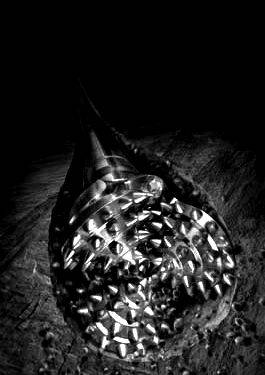 New Diamond Drill Bit Being Developed 