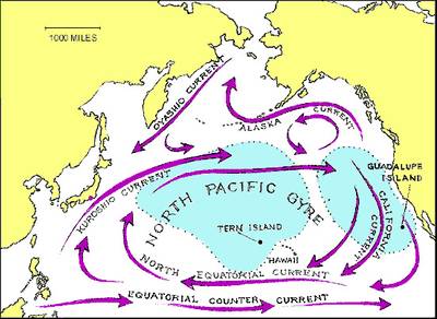 Kuroshio Current - Maritime Logistics Professional