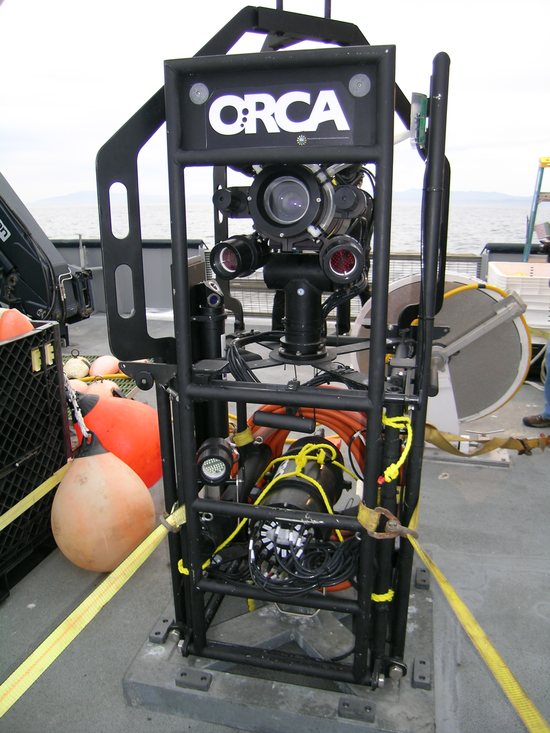Eye Of The Sea World’S First Live Underwater cam